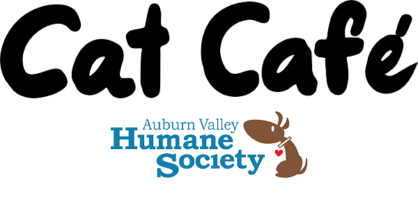 Cat Cafe - Auburn Valley Humane Society