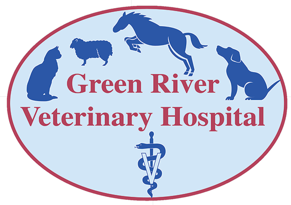 Logo for Green River Veterinary Hospital with silhouettes of animals and a veterinary medical symbol.