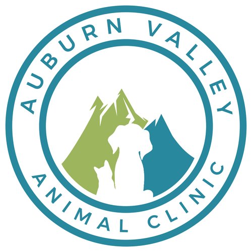 Animal valley Animal Clinic