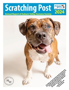 Scratching Post Annual Report 2024