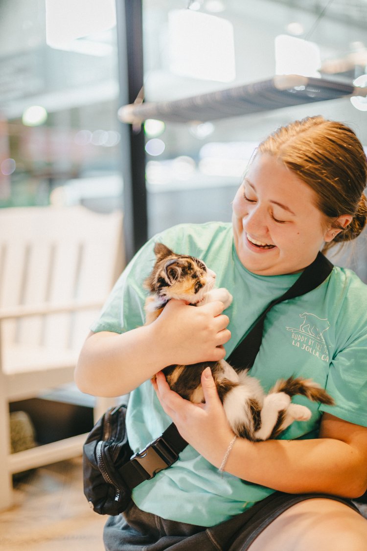 Smiling woman holding cat at cat cafe