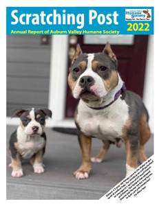 Scratching Post Annual Report 2022