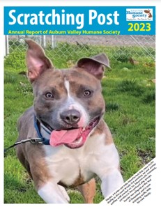 Scratching Post Annual Report 2023