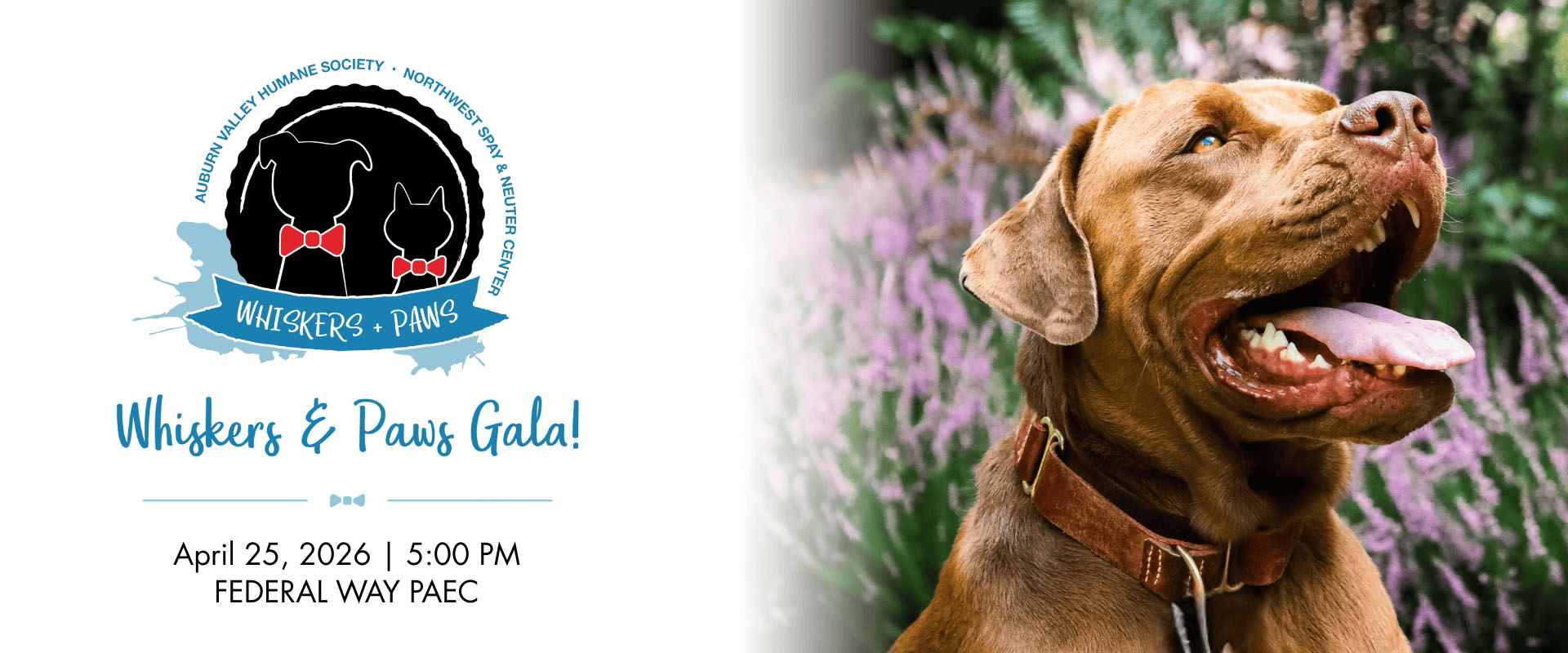Whiskers and Paws Gala April 25 2026 at Federal Way PAEC